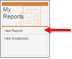 View_reports_UI.png